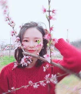 小桌子的第一张照片--上杭相亲网