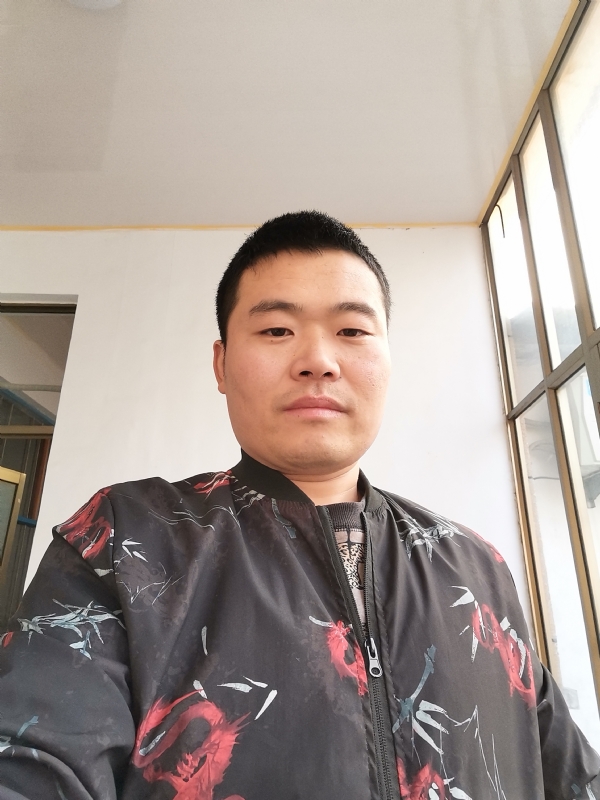 会飞的猪的第一张照片--上杭相亲网