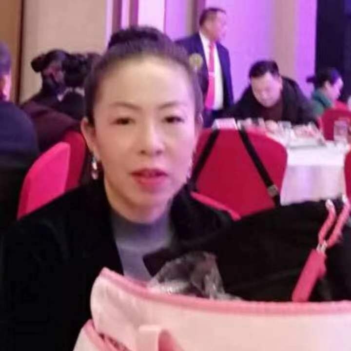 中秋桂花玉兔的第四张照片--上杭相亲网