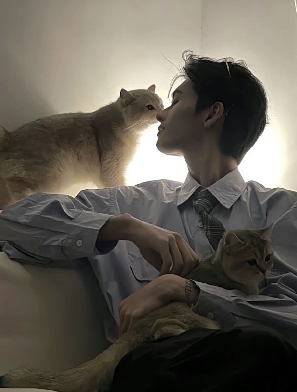 怪猫的第一张照片--上杭相亲网