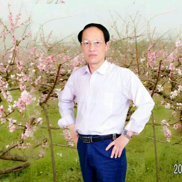 枫叶的第一张照片--上杭相亲网